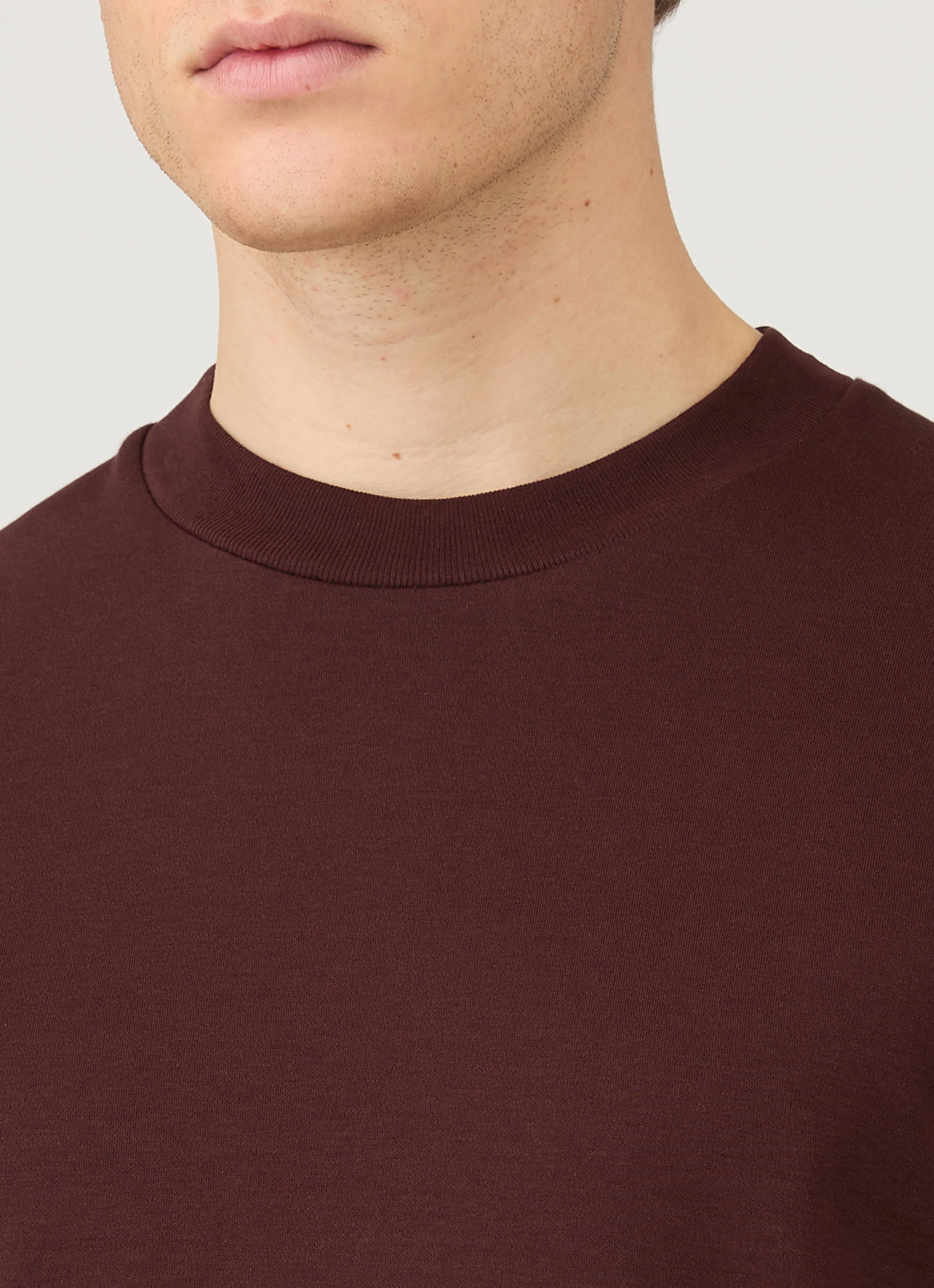 Men's Long Sleeve Heavyweight T-shirt in Bakelite - Image 5