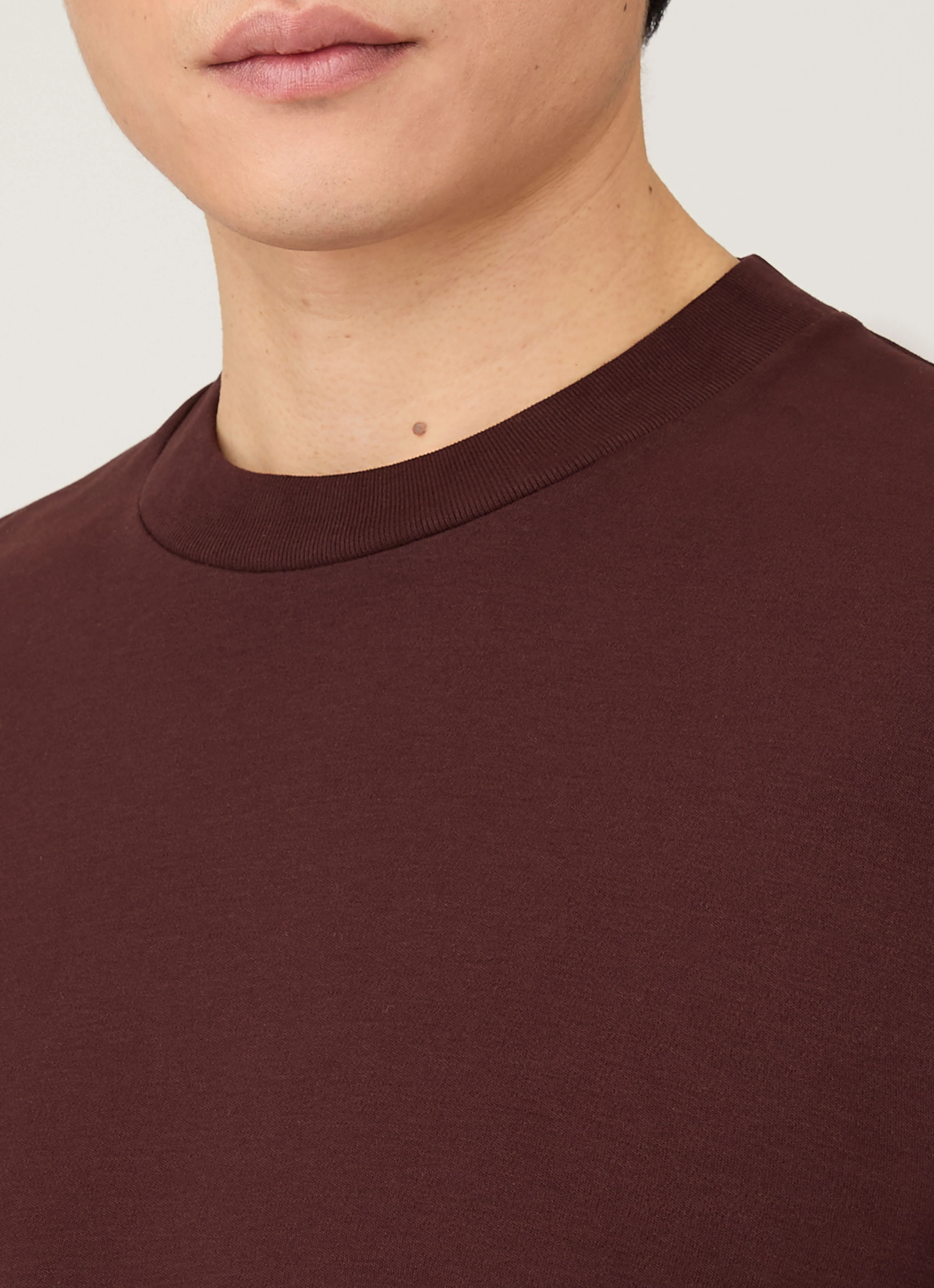 Men's Relaxed Fit Heavyweight T-shirt in Bakelite - Image 6