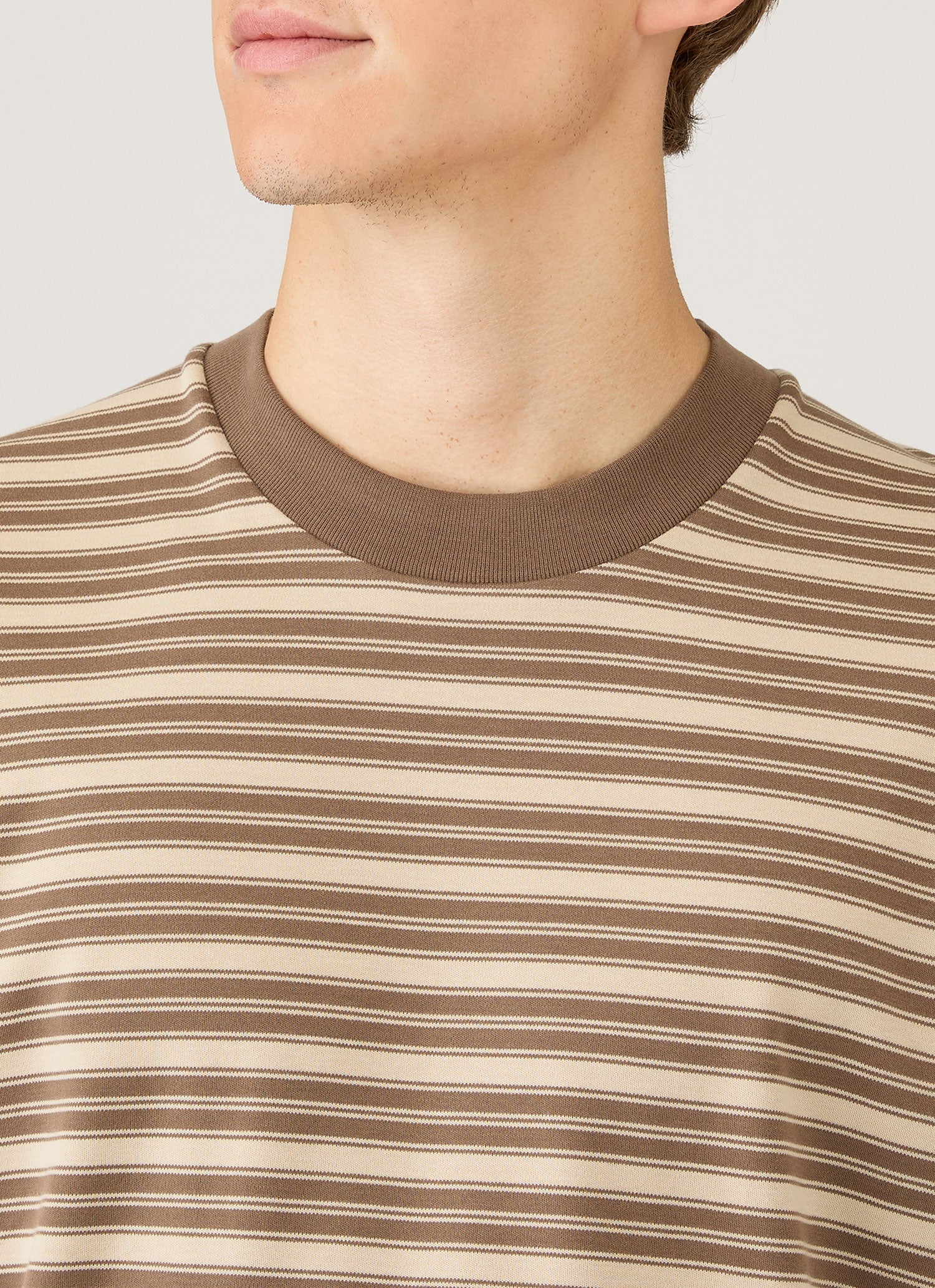 Men's Relaxed Fit Heavyweight T-shirt in Hazelwood/Dark Cedar - Image 6