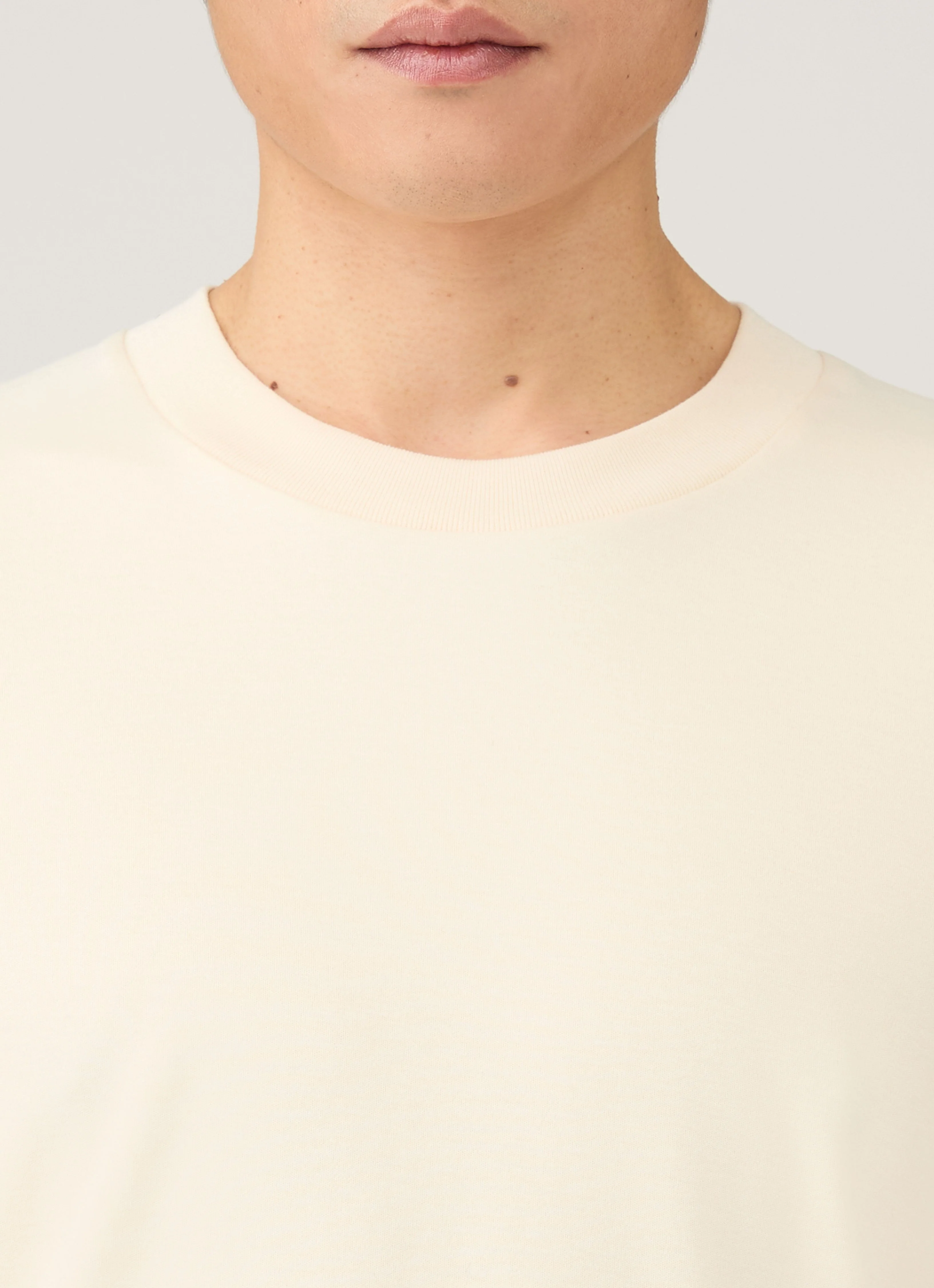 Men's Relaxed Fit Heavyweight T-shirt in Undyed - Image 6